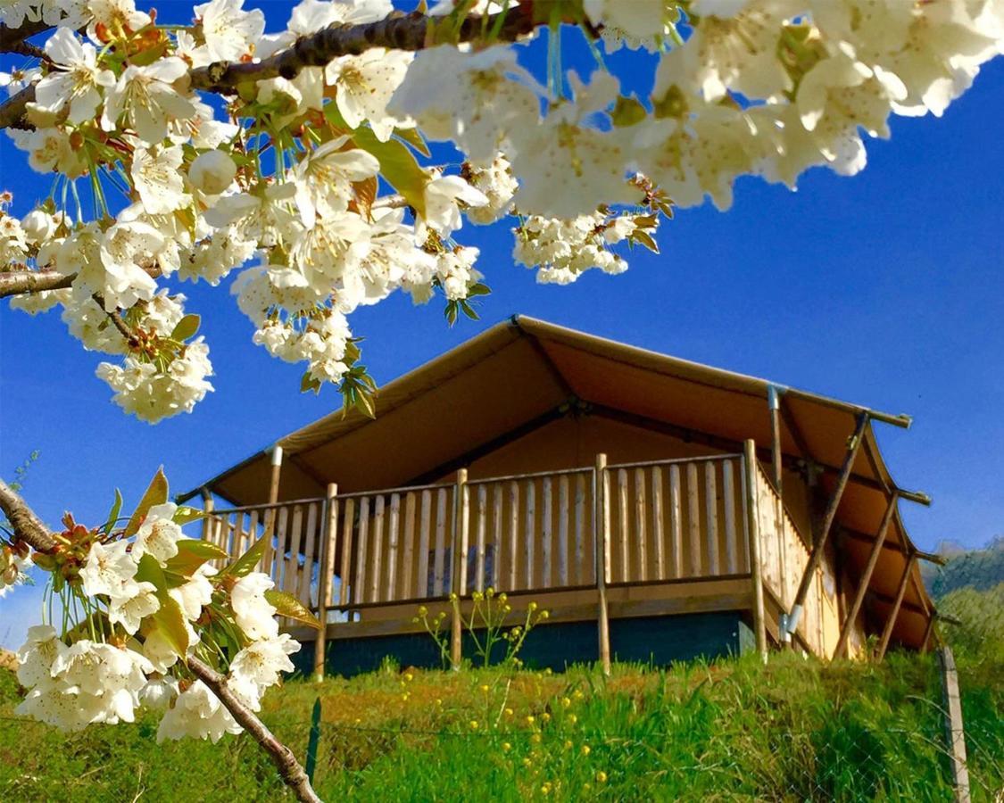 Villaladiva Boutique Glamping Massignano Exterior foto
